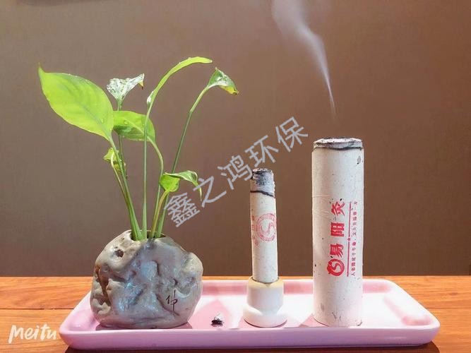 如何正確使用艾灸排煙系統(tǒng)